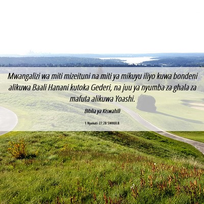 Picture 06 - 1 Nyakati 27:28 SWHULB - Mwangalizi wa miti mizeituni na miti ya mikuyu - Bible Verse Picture