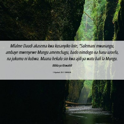 Picture 06 - 1 Nyakati 29:1 SWHULB - Mfalme Daudi akasema kwa kusanyiko lote, - Bible Verse Picture