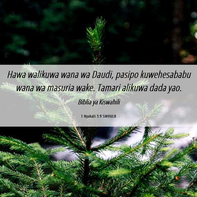 Picture 06 - 1 Nyakati 3:9 SWHULB - Hawa walikuwa wana wa Daudi, pasipo kuwehesababu - Bible Verse Picture