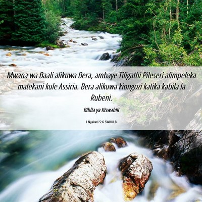 Picture 06 - 1 Nyakati 5:6 SWHULB - Mwana wa Baali alikuwa Bera, ambaye Tiligathi - Bible Verse Picture