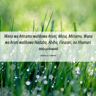 Picture 06 - 1 Nyakati 6:3 SWHULB - Wana wa Amramu walikuwa Aruni, Musa, Miriamu. - Bible Verse Picture