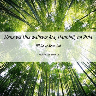 Picture 06 - 1 Nyakati 7:39 SWHULB - Wana wa Ulla walikwa Ara, Hannieli, na - Bible Verse Picture