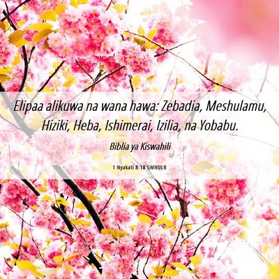 Picture 06 - 1 Nyakati 8:18 SWHULB - Elipaa alikuwa na wana hawa: Zebadia, Meshulamu, - Bible Verse Picture