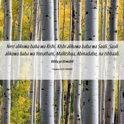 Picture 06 - 1 Nyakati 8:33 SWHULB - Neri alikuwa baba wa Kishi. Kishi alikuwa baba wa - Bible Verse Picture