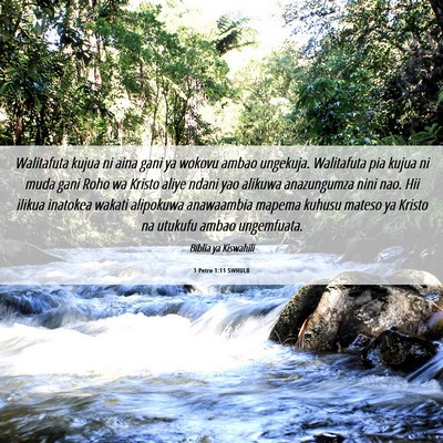 Picture 06 - 1 Petro 1:11 SWHULB - Walitafuta kujua ni aina gani ya wokovu ambao - Bible Verse Picture