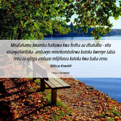 Picture 06 - 1 Petro 1:18 SWHULB - Mnafahamu kwamba haikuwa kwa fedha au dhahabu - - Bible Verse Picture