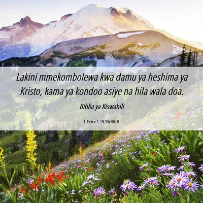 Picture 06 - 1 Petro 1:19 SWHULB - Lakini mmekombolewa kwa damu ya heshima ya - Bible Verse Picture