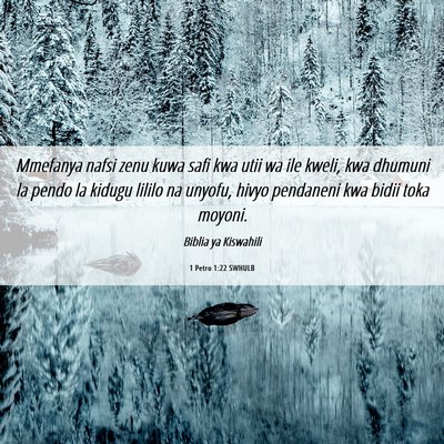 Picture 06 - 1 Petro 1:22 SWHULB - Mmefanya nafsi zenu kuwa safi kwa utii wa ile - Bible Verse Picture