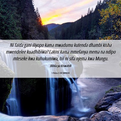 Picture 06 - 1 Petro 2:20 SWHULB - Ni faida gani iliyopo kama mwadumu kutenda dhambi - Bible Verse Picture