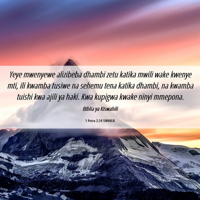 Picture 06 - 1 Petro 2:24 SWHULB - Yeye mwenyewe alizibeba dhambi zetu katika mwili - Bible Verse Picture
