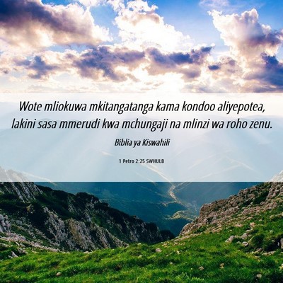 Picture 06 - 1 Petro 2:25 SWHULB - Wote mliokuwa mkitangatanga kama kondoo - Bible Verse Picture