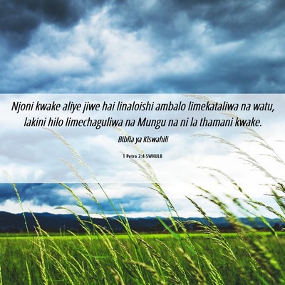 Picture 06 - 1 Petro 2:4 SWHULB - Njoni kwake aliye jiwe hai linaloishi ambalo - Bible Verse Picture