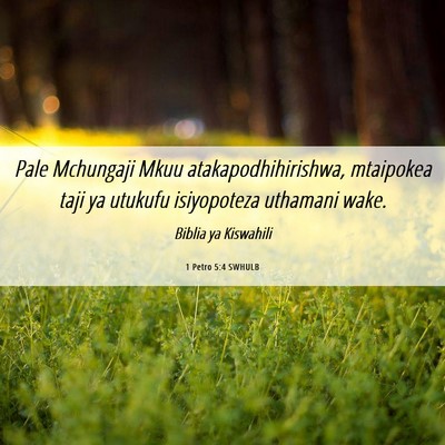 Picture 06 - 1 Petro 5:4 SWHULB - Pale Mchungaji Mkuu atakapodhihirishwa, mtaipokea - Bible Verse Picture