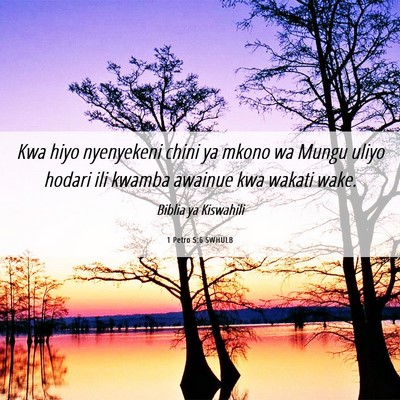 Picture 06 - 1 Petro 5:6 SWHULB - Kwa hiyo nyenyekeni chini ya mkono wa Mungu uliyo - Bible Verse Picture