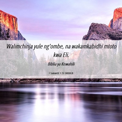Picture 06 - 1 Samweli 1:25 SWHULB - Walimchinja yule ng'ombe, na wakamkabidhi mtoto - Bible Verse Picture