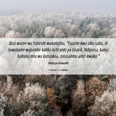 Picture 06 - 1 Samweli 11:3 SWHULB - Basi wazee wa Yabeshi wakamjibu, “Tuache kwa - Bible Verse Picture