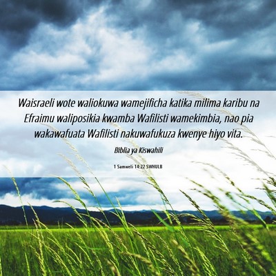 Picture 06 - 1 Samweli 14:22 SWHULB - Waisraeli wote waliokuwa wamejificha katika - Bible Verse Picture