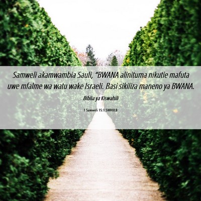 Picture 06 - 1 Samweli 15:1 SWHULB - Samweli akamwambia Sauli, “BWANA alinituma - Bible Verse Picture