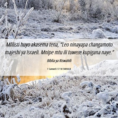 Picture 06 - 1 Samweli 17:10 SWHULB - Mfilisti huyo akasema tena, “Leo ninayapa - Bible Verse Picture