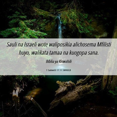 Picture 06 - 1 Samweli 17:11 SWHULB - Sauli na Israeli wote waliposikia alichosema - Bible Verse Picture