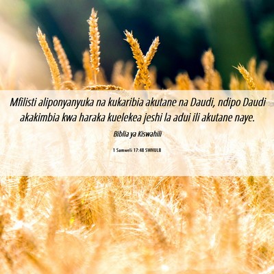 Picture 06 - 1 Samweli 17:48 SWHULB - Mfilisti aliponyanyuka na kukaribia akutane na - Bible Verse Picture