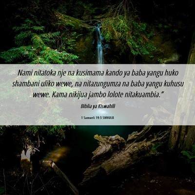 Picture 06 - 1 Samweli 19:3 SWHULB - Nami nitatoka nje na kusimama kando ya baba yangu - Bible Verse Picture