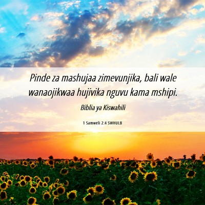 Picture 06 - 1 Samweli 2:4 SWHULB - Pinde za mashujaa zimevunjika, bali wale - Bible Verse Picture