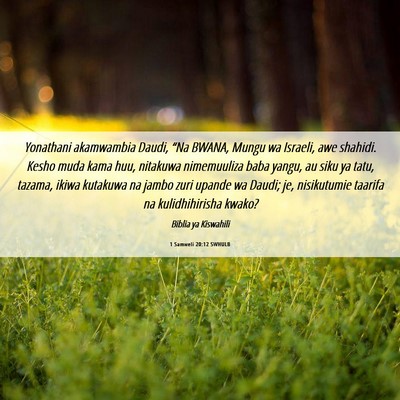 Picture 06 - 1 Samweli 20:12 SWHULB - Yonathani akamwambia Daudi, “Na BWANA, Mungu wa - Bible Verse Picture