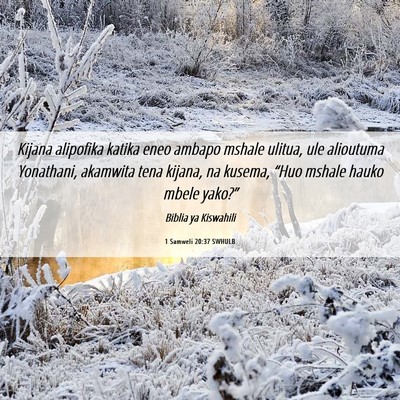 Picture 06 - 1 Samweli 20:37 SWHULB - Kijana alipofika katika eneo ambapo mshale - Bible Verse Picture