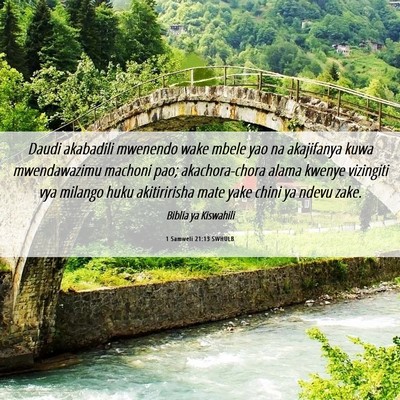 Picture 06 - 1 Samweli 21:13 SWHULB - Daudi akabadili mwenendo wake mbele yao na - Bible Verse Picture
