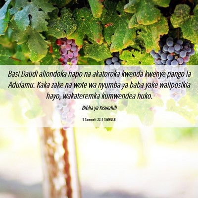 Picture 06 - 1 Samweli 22:1 SWHULB - Basi Daudi aliondoka hapo na akatoroka kwenda - Bible Verse Picture