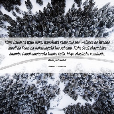 Picture 06 - 1 Samweli 23:13 SWHULB - Kisha Daudi na watu wake, waliokuwa kama mia - Bible Verse Picture