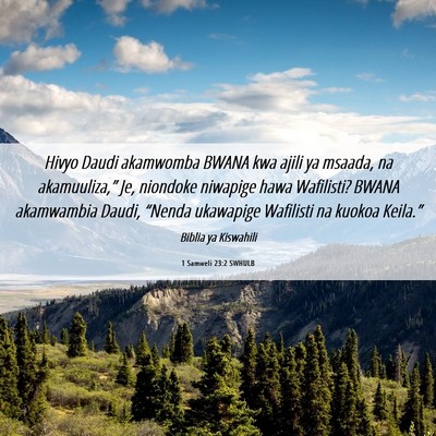 Picture 06 - 1 Samweli 23:2 SWHULB - Hivyo Daudi akamwomba BWANA kwa ajili ya msaada, - Bible Verse Picture