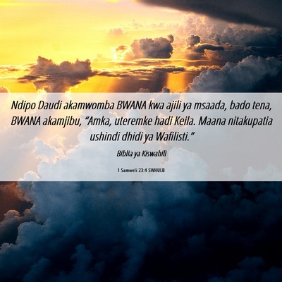 Picture 06 - 1 Samweli 23:4 SWHULB - Ndipo Daudi akamwomba BWANA kwa ajili ya msaada, - Bible Verse Picture