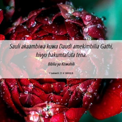 Picture 06 - 1 Samweli 27:4 SWHULB - Sauli akaambiwa kuwa Daudi amekimbilia Gathi, - Bible Verse Picture