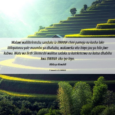 Picture 06 - 1 Samweli 6:15 SWHULB - Walawi walilitelemsha sanduku la BWANA chini - Bible Verse Picture
