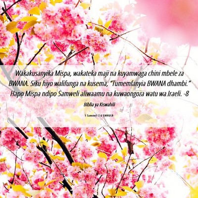 Picture 06 - 1 Samweli 7:6 SWHULB - Wakakusanyika Mispa, wakateka maji na kuyamwaga - Bible Verse Picture