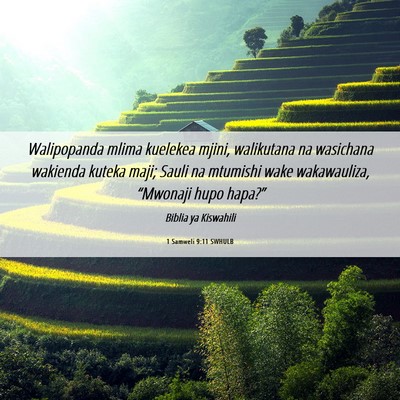 Picture 06 - 1 Samweli 9:11 SWHULB - Walipopanda mlima kuelekea mjini, walikutana na - Bible Verse Picture