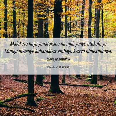 Picture 06 - 1 Timotheo 1:11 SWHULB - Malekezo haya yanatokana na injili yenye utukufu - Bible Verse Picture