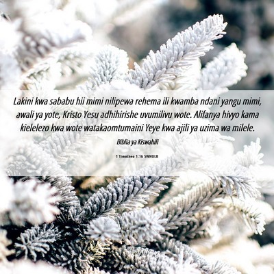 Picture 06 - 1 Timotheo 1:16 SWHULB - Lakini kwa sababu hii mimi nilipewa rehema ili - Bible Verse Picture
