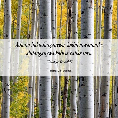 Picture 06 - 1 Timotheo 2:14 SWHULB - Adamu hakudanganywa, lakini mwanamke alidanganywa - Bible Verse Picture