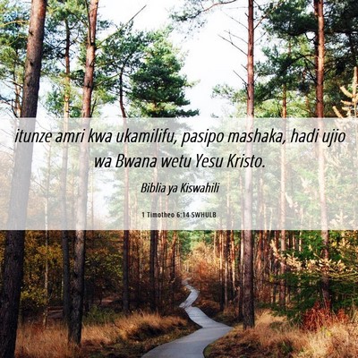 Picture 06 - 1 Timotheo 6:14 SWHULB - itunze amri kwa ukamilifu, pasipo mashaka, hadi - Bible Verse Picture