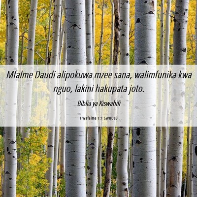 Picture 06 - 1 Wafalme 1:1 SWHULB - Mfalme Daudi alipokuwa mzee sana, walimfunika kwa - Bible Verse Picture