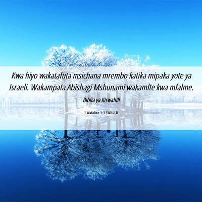 Picture 06 - 1 Wafalme 1:3 SWHULB - Kwa hiyo wakatafuta msichana mrembo katika mipaka - Bible Verse Picture