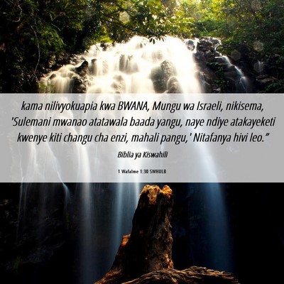 Picture 06 - 1 Wafalme 1:30 SWHULB - kama nilivyokuapia kwa BWANA, Mungu wa Israeli, - Bible Verse Picture