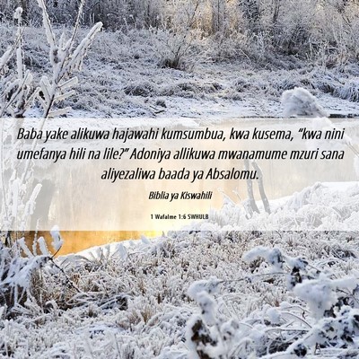 Picture 06 - 1 Wafalme 1:6 SWHULB - Baba yake alikuwa hajawahi kumsumbua, kwa kusema, - Bible Verse Picture