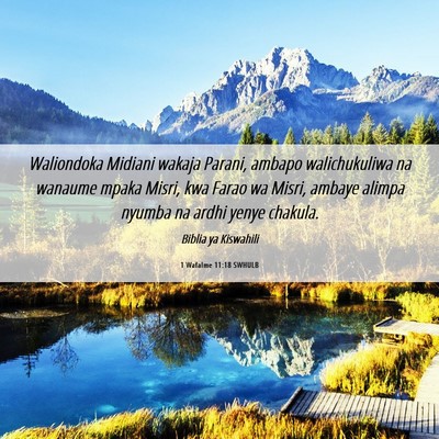 Picture 06 - 1 Wafalme 11:18 SWHULB - Waliondoka Midiani wakaja Parani, ambapo - Bible Verse Picture