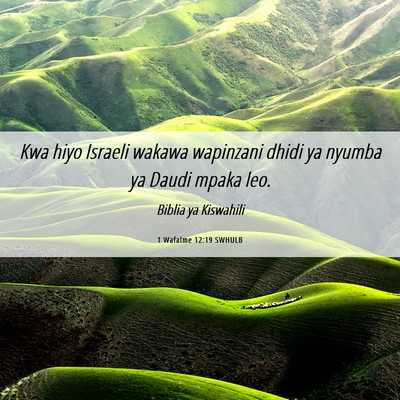 Picture 06 - 1 Wafalme 12:19 SWHULB - Kwa hiyo Israeli wakawa wapinzani dhidi ya nyumba - Bible Verse Picture