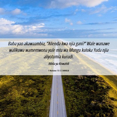 Picture 06 - 1 Wafalme 13:12 SWHULB - Baba yao akawaambia, “Alienda kwa njia gani?” - Bible Verse Picture