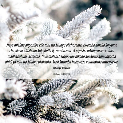 Picture 06 - 1 Wafalme 13:4 SWHULB - Naye mfalme aliposikia kile mtu wa Mungu - Bible Verse Picture
